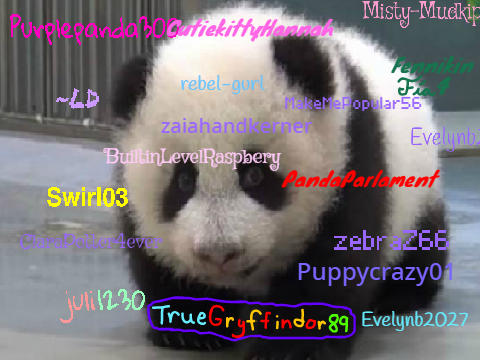 Sign if you are against PANDA POACHING! REMIX REMIX REMIX REMIX REMIX REMIX REMIX REMIX remix… remix