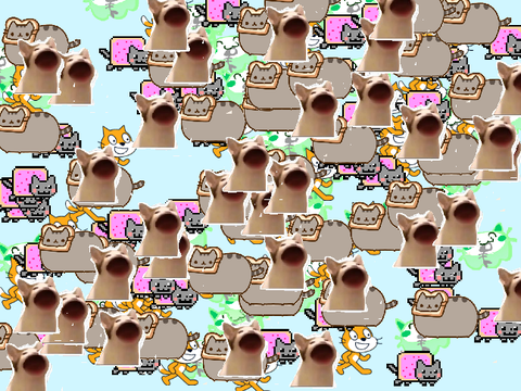 it's raining cats, halleluja