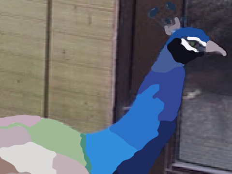blockshade of terkey thing