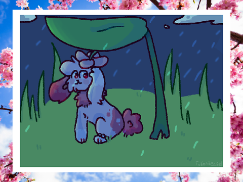 DTAE // Cherry Blossom 