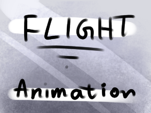Flight || Animation test