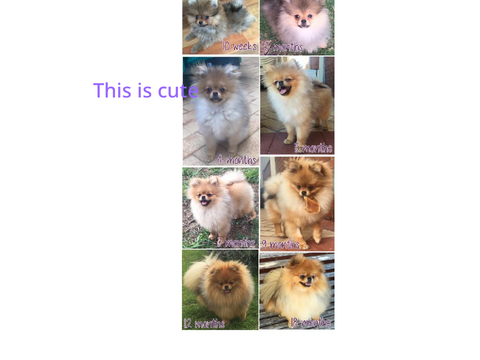 Sign ur name on the one u would adopt! Remix pls!