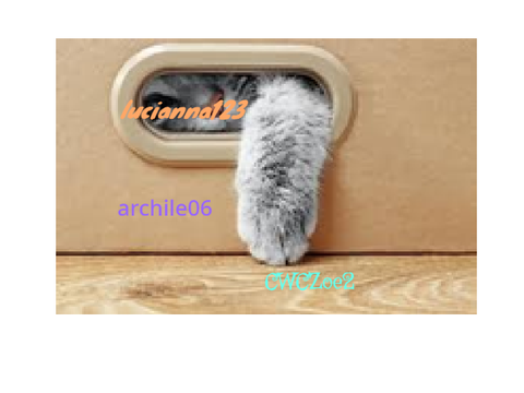 sign if you like cats! remix