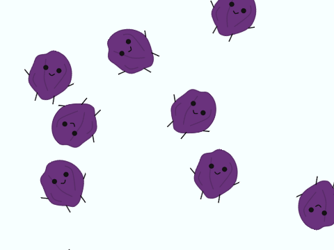 Dancing raisins