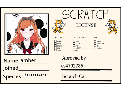 my scratch lisence