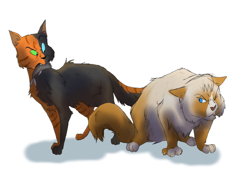 "Skyclan cats seem to hate water"