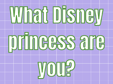 disney princess quiz