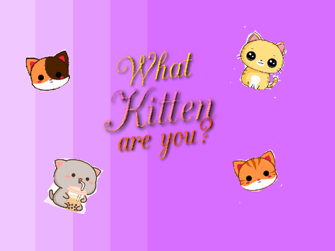 What Kitten are you? :)