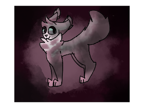 More cat