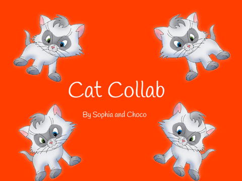 Cat Collab with SophiaWorld