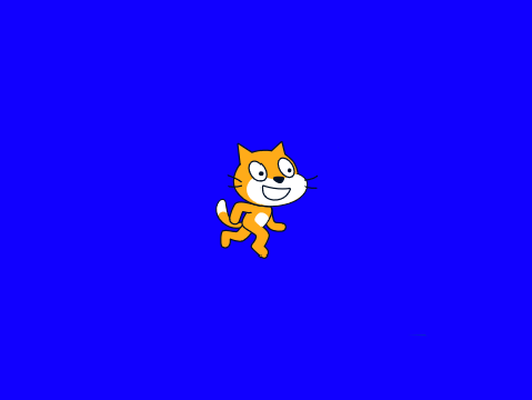 Paint