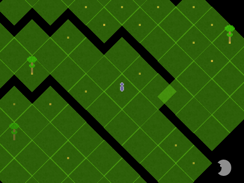 infinite isometric survival game 