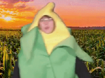 corn XP
