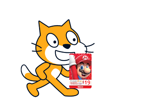 19 Dollar Eshop Card