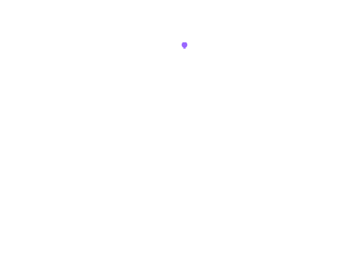 What is this