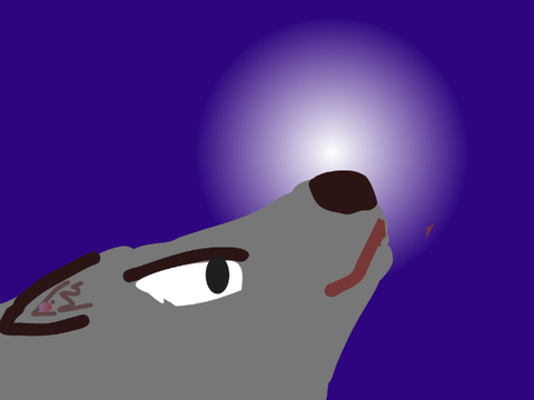 Wolf Aniimation