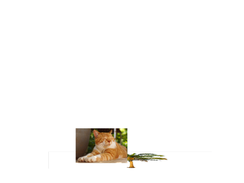 5 minute it took to make this