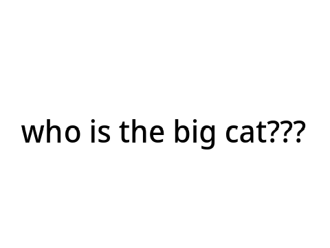 who is real big cat?
