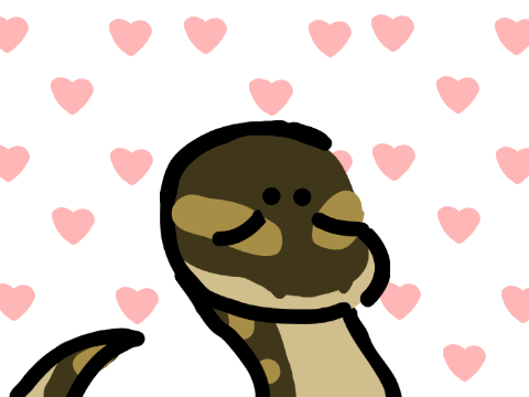 Pets