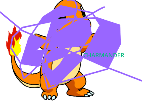 wat have i don