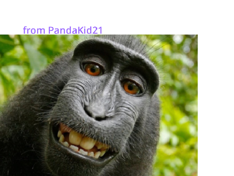 lol