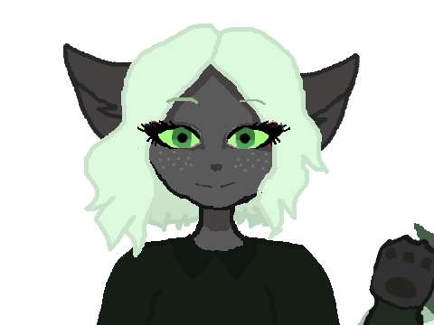 Animation Test