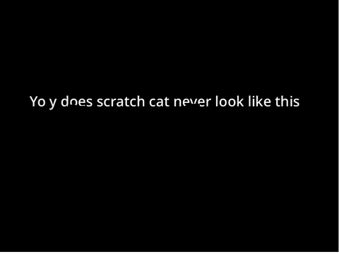 Y does scratch cat not do this