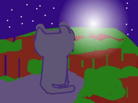 Midnight Cat