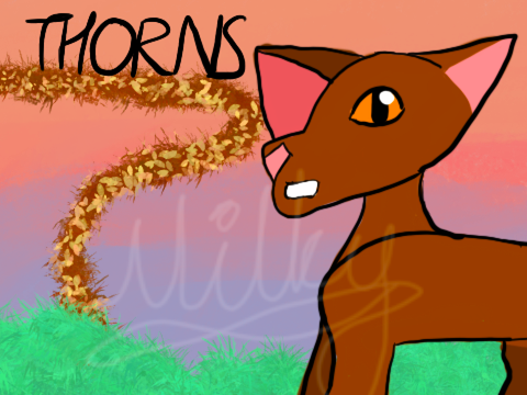 introducing // thorns