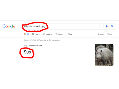 WHAT?????