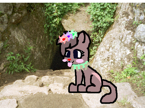 Warrior Cat Designer remix