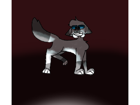 Edgy cat standing.
