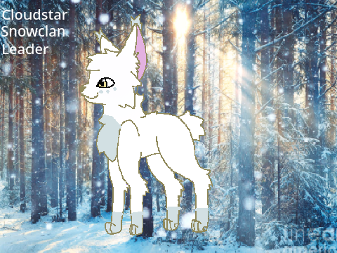 Cloudstar's ref