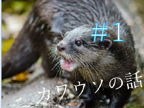 カワウソの話　＃1　種類と食べ物