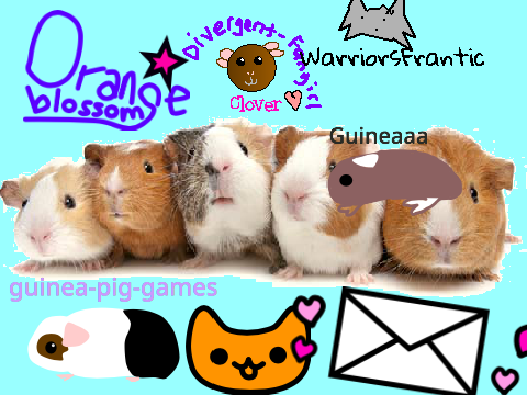 Sign here if guinea pig experimenting is bad! Remix