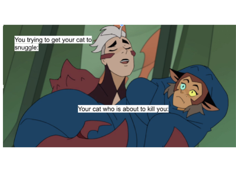 She-Ra memes :D