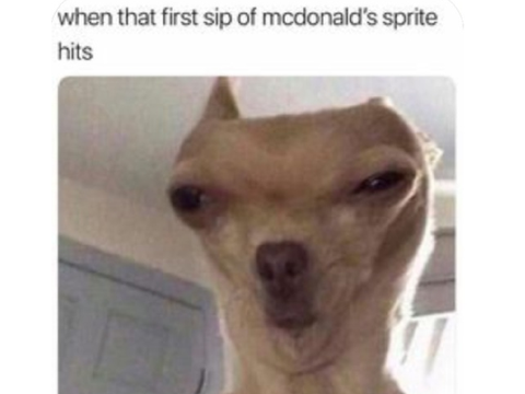 hehe boi