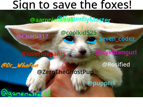 STOP HUNTING FOXES remix remix remix remix remix 7's remix... remix remix remix