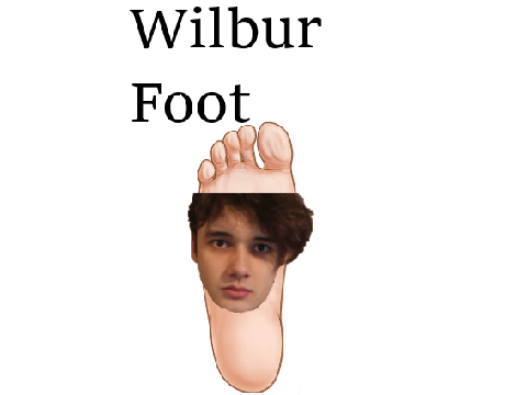 wilbur foot