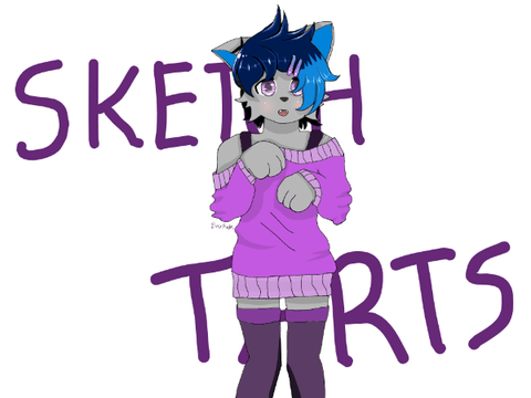 Sketch character