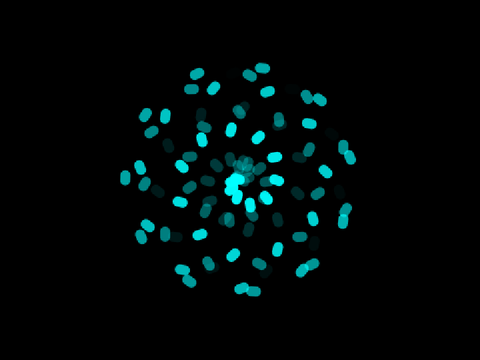 Pen Circle