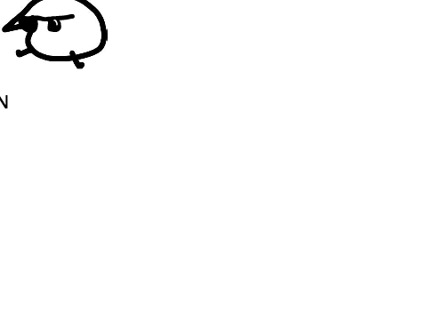 BERD NEWS