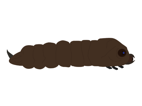 Divergent Mothra Larva *REMODEL*