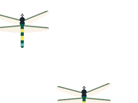 Bug swat