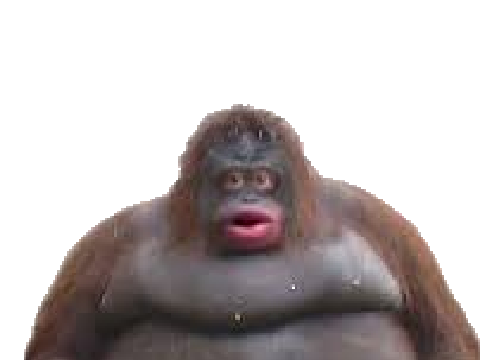 Monke loses fartnite card