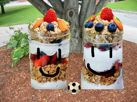 yogurt
