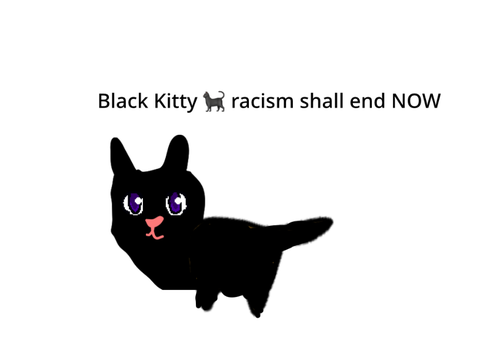 Kittys matter
