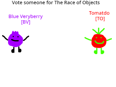 Voting for The Race Of Objects 2
