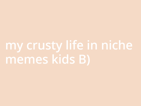 my crusty life in niche memes kids B)