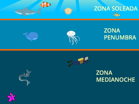Zonas del Oceano